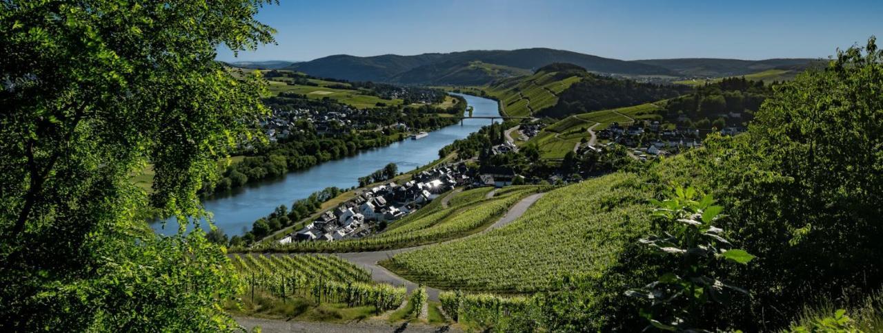 Wein- Und Gaestehaus Genetsch Lieser Dış mekan fotoğraf