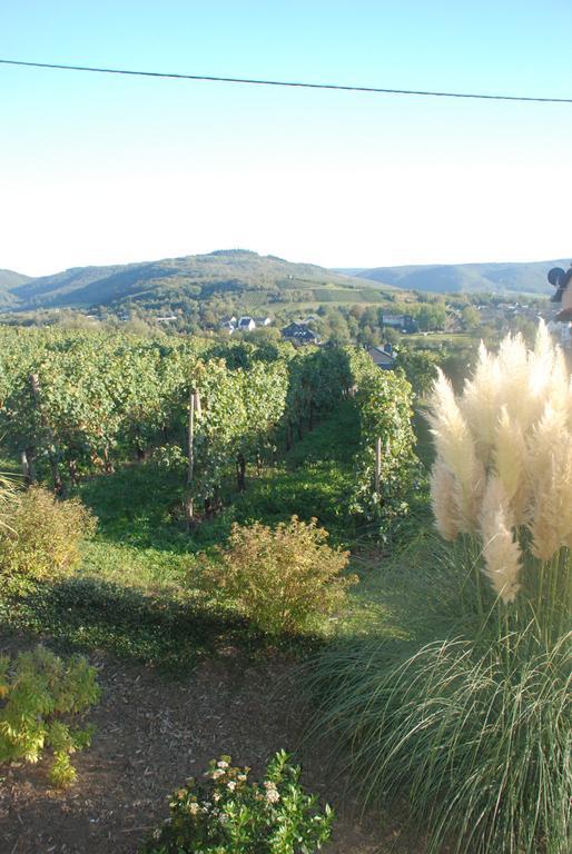 Wein- Und Gaestehaus Genetsch Lieser Dış mekan fotoğraf
