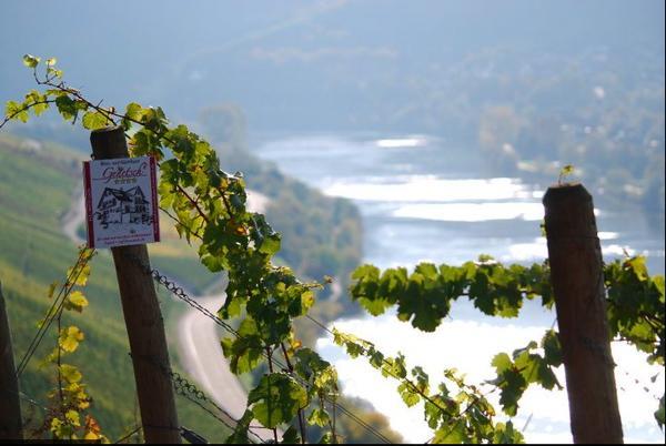 Wein- Und Gaestehaus Genetsch Lieser Dış mekan fotoğraf