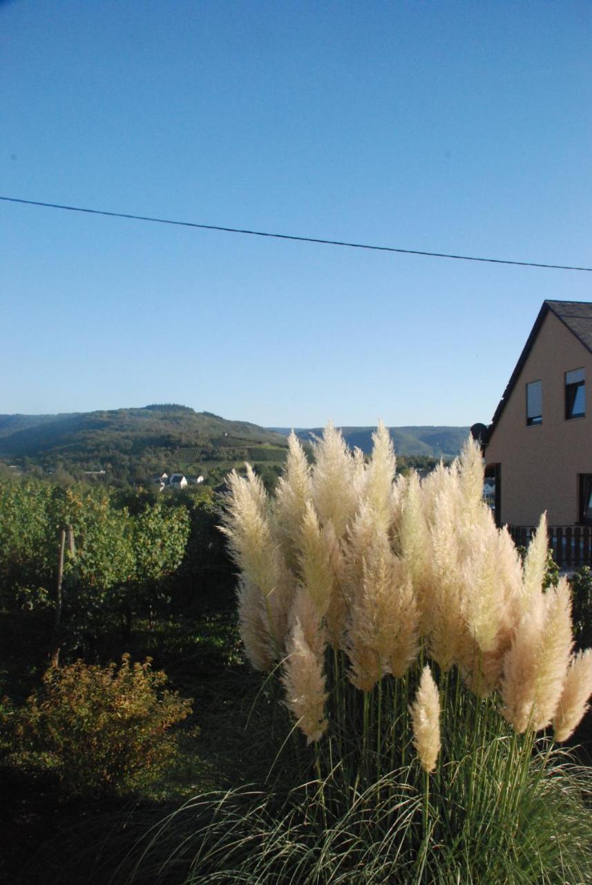 Wein- Und Gaestehaus Genetsch Lieser Dış mekan fotoğraf