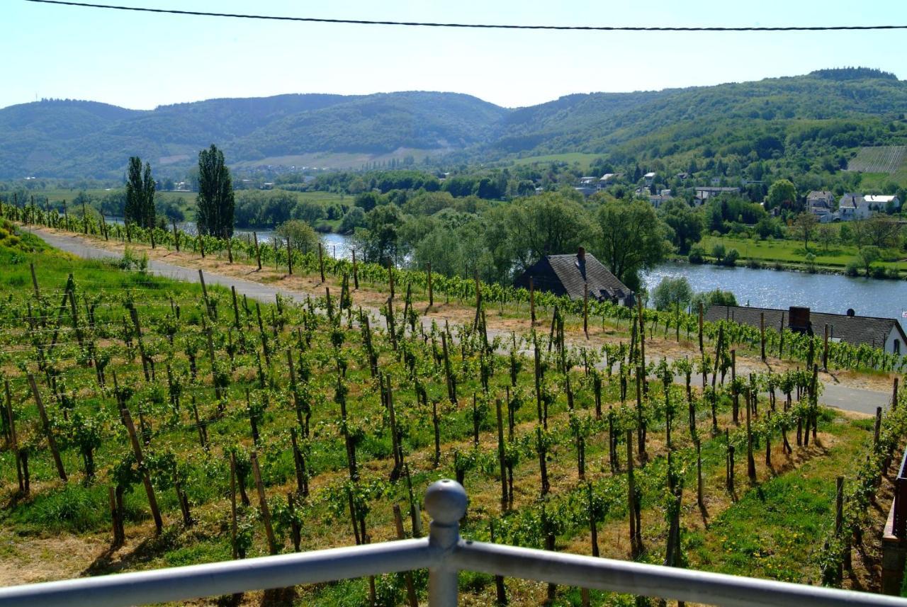 Wein- Und Gaestehaus Genetsch Lieser Dış mekan fotoğraf
