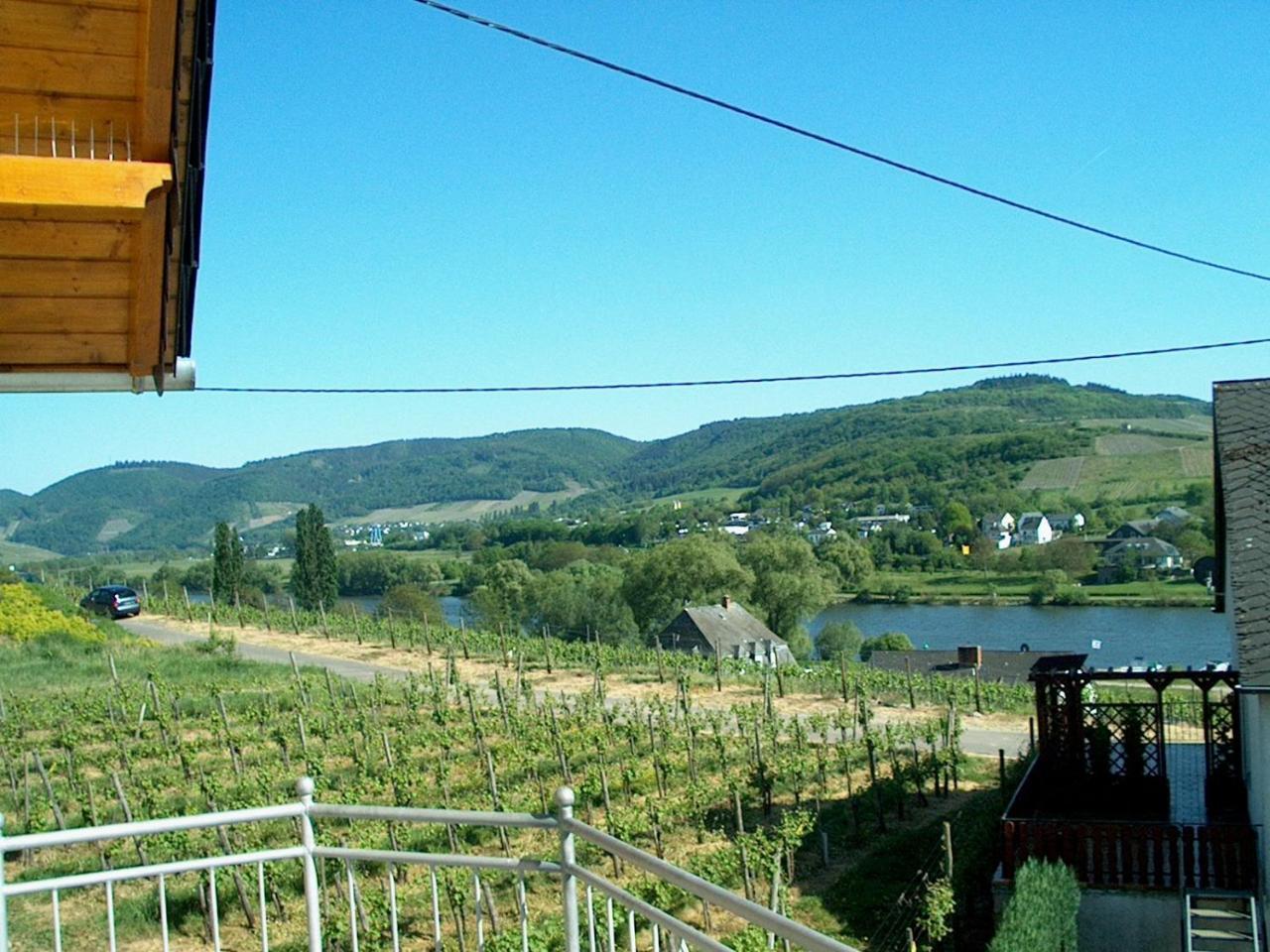Wein- Und Gaestehaus Genetsch Lieser Dış mekan fotoğraf