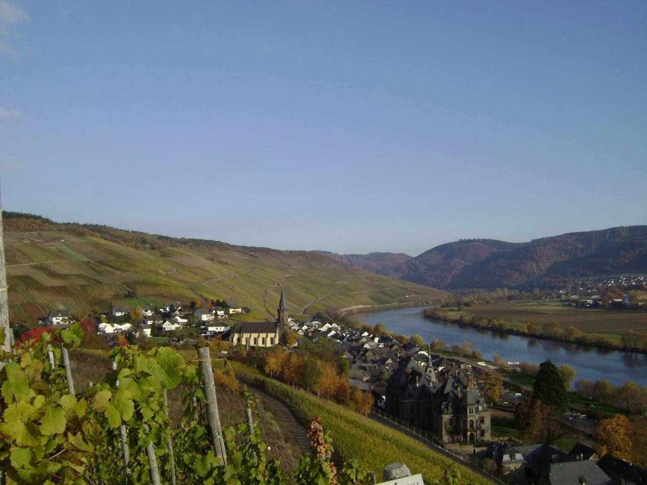 Wein- Und Gaestehaus Genetsch Lieser Dış mekan fotoğraf