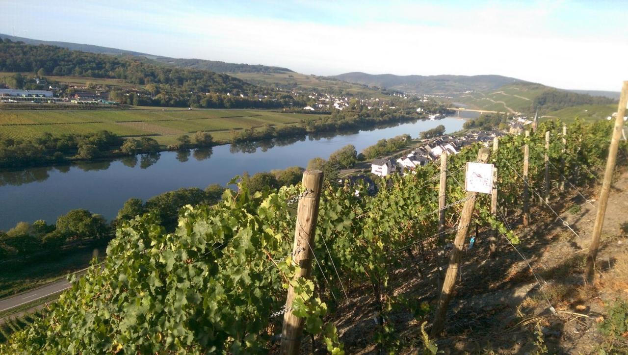 Wein- Und Gaestehaus Genetsch Lieser Dış mekan fotoğraf