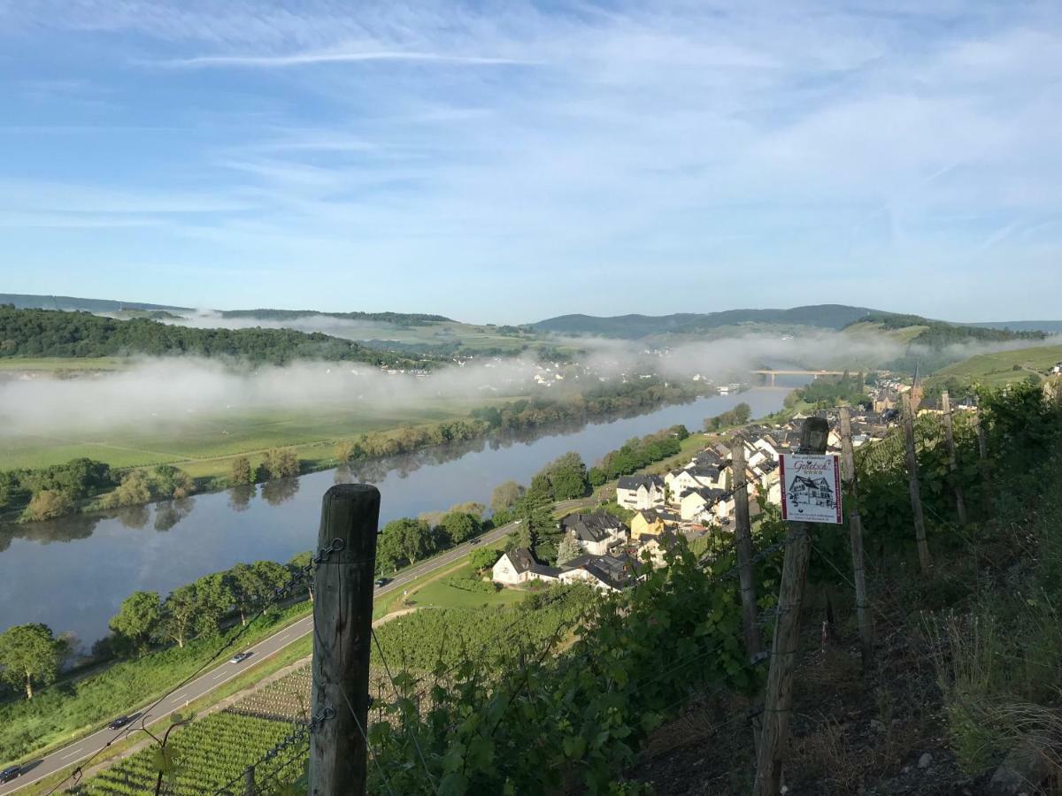 Wein- Und Gaestehaus Genetsch Lieser Dış mekan fotoğraf